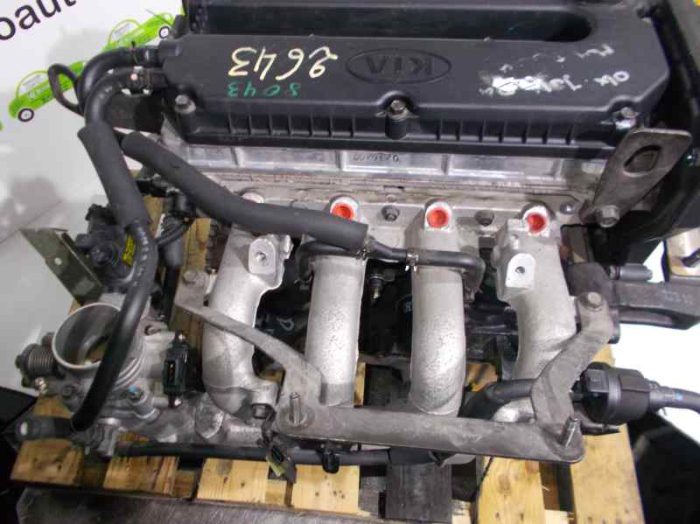 Shuma 1.6 DOHC